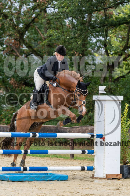 Vielseitigkeit RSV Wesel Obrighoven (26.+27.09.2020)