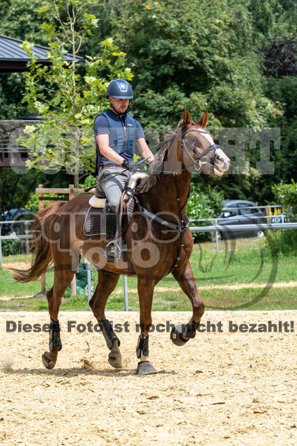 Hunter Geländetraining 10.07.2021 (Sonsbeck)