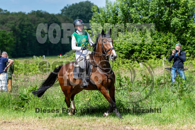 Westerstede Horse Trials (10.-13.06.2021)