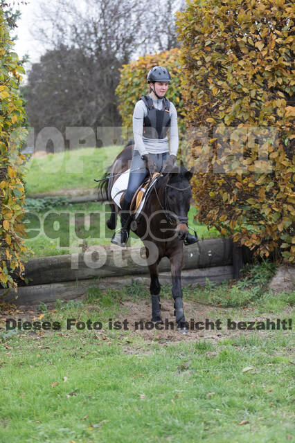IGV Lehrgang der Sieger der Cups mit Frank Ostholt