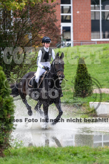 Goldene Schärpe 2020 - Pferde