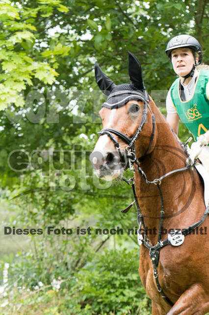 RFV Bad Honnef