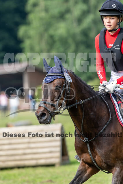 Goldene Schärpe 2021 - Ponys