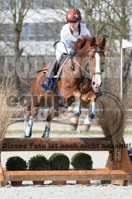 Eventing Langenfeld 2018