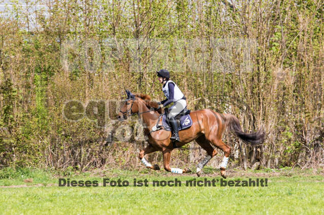 Vielseitigkeitsturnier RV Lippe-Bruch-Gahlen