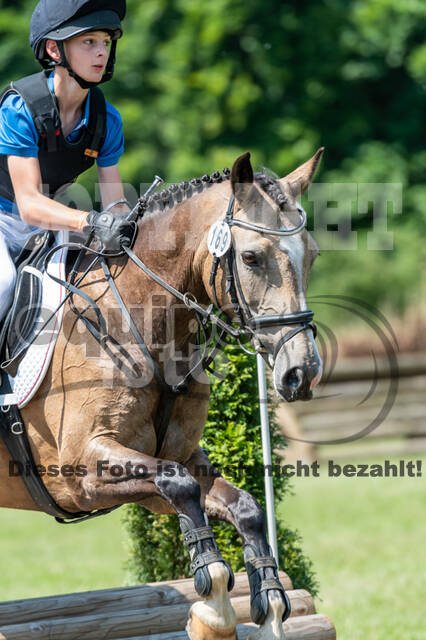 Goldene Schärpe 2021 - Ponys