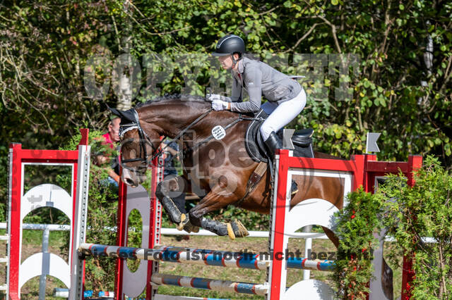 RFV Dinslaken-Hiesfeld (Herbstturnier)