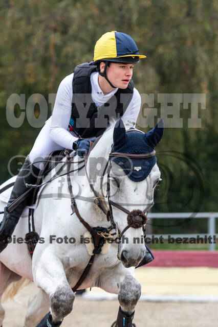 Goldene Schärpe 2020 - Pferde