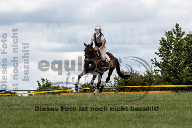 Bonn-Rodderberg Late-Entry-Vielseitigkeit (30.06.2020)
