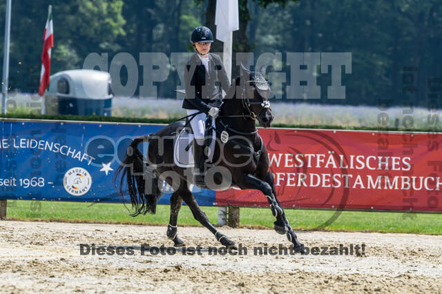 Goldene Schärpe 2021 - Ponys