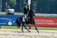 Goldene Schärpe 2021 - Ponys