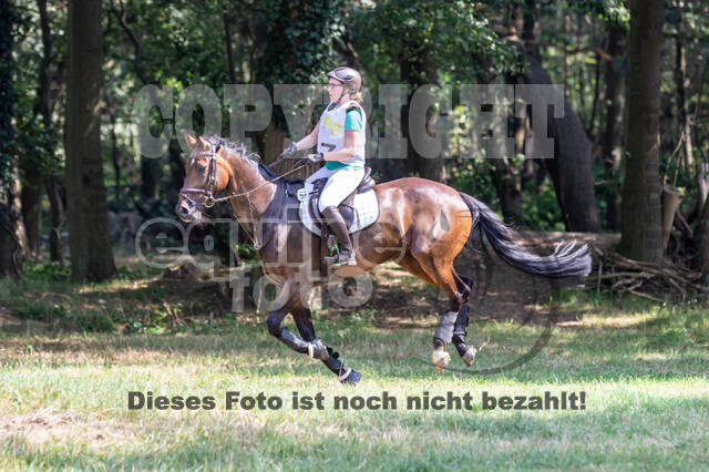 Late-Entry Vielseitigkeit Hamminkeln/Wesel (01.+02.08.2020)