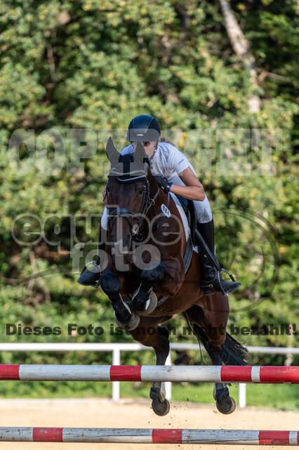 RFV Dinslaken-Hiesfeld (Herbstturnier)