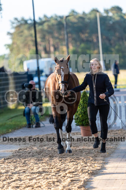 Deutsche Meisterschaft Vielseitigkeit (Luhmühlen)