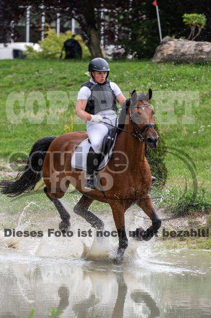 Late-Entry-Vielseitigkeit Langenfeld (06.+07.07.2020)