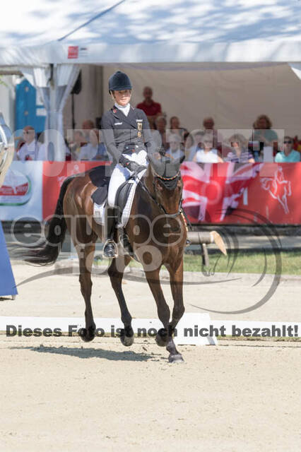 FEI European Championship Eventing 2017