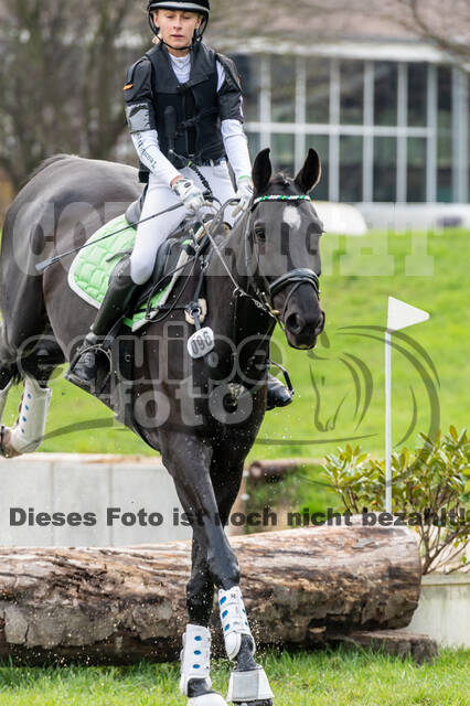 Goldene Schärpe 2020 - Pferde