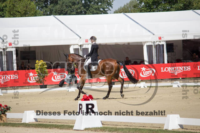 FEI European Championship Eventing 2017