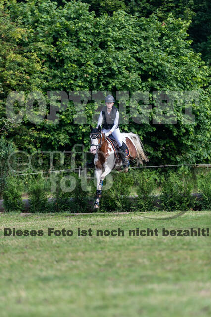 Goldene Schärpe 2021 - Ponys