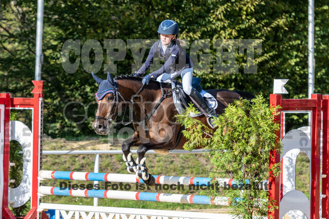 RFV Dinslaken-Hiesfeld (Herbstturnier)