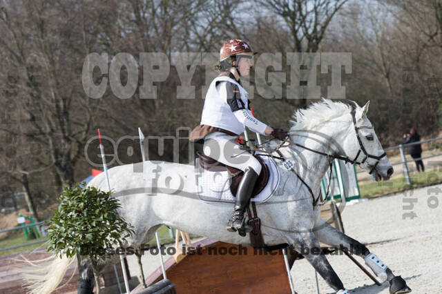 Eventing Langenfeld 2018