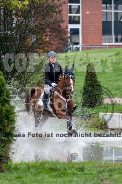 Goldene Schärpe 2020 - Pferde