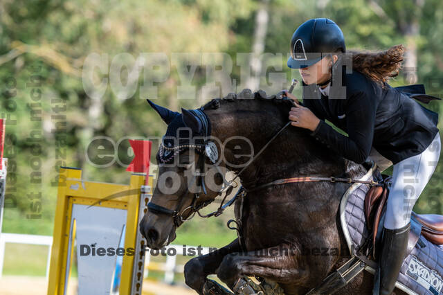 RFV Dinslaken-Hiesfeld (Herbstturnier)
