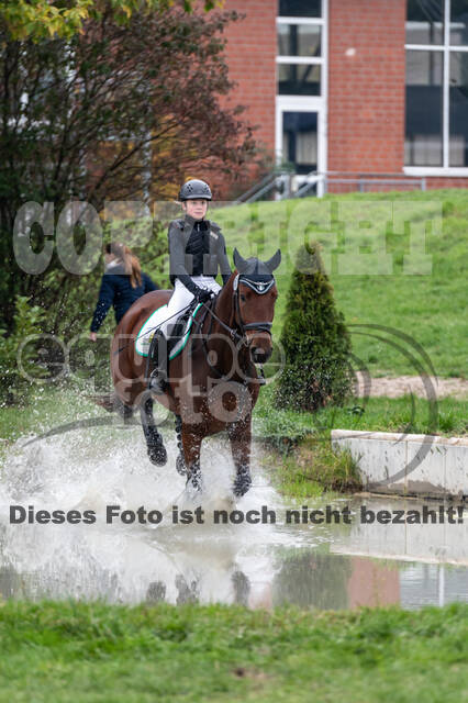 Goldene Schärpe 2020 - Pferde