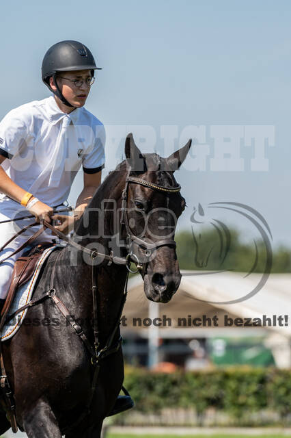 Kronenberg - De Peelbergen (August 2020)