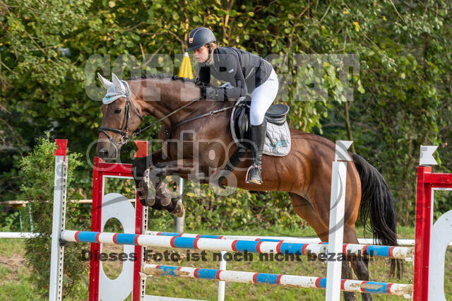 RFV Dinslaken-Hiesfeld (Herbstturnier)