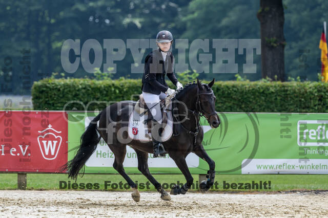 Goldene Schärpe 2021 - Ponys