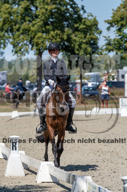 Kronenberg - De Peelbergen (August 2020)