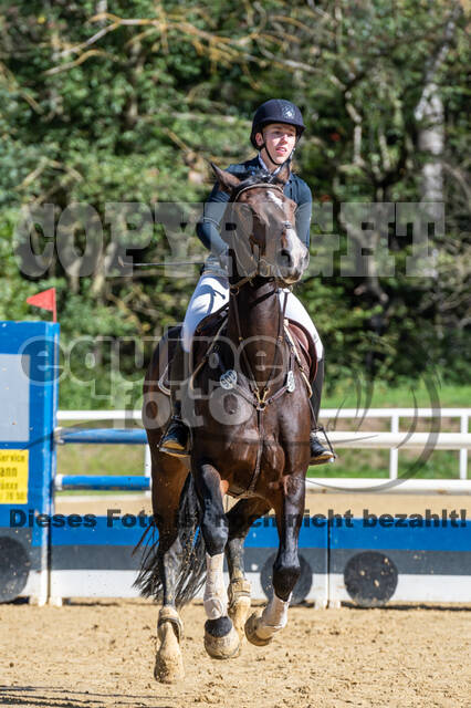 RFV Dinslaken-Hiesfeld (Herbstturnier)