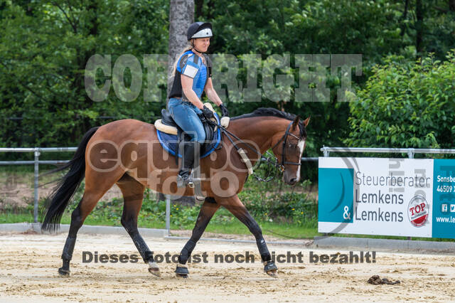 Hunter Geländetraining 10.07.2021 (Sonsbeck)