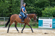 Hunter Geländetraining 10.07.2021 (Sonsbeck)