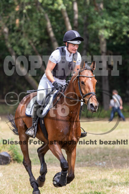 Late-Entry Vielseitigkeit Hamminkeln/Wesel (01.+02.08.2020)