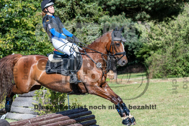 Late-Entry-Vielseitigkeit Langenfeld (11.+13./14.06.2020)