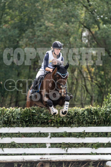 Vielseitigkeit RSV Wesel Obrighoven (26.+27.09.2020)