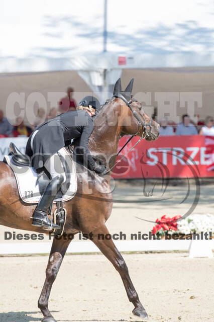 FEI European Championship Eventing 2017