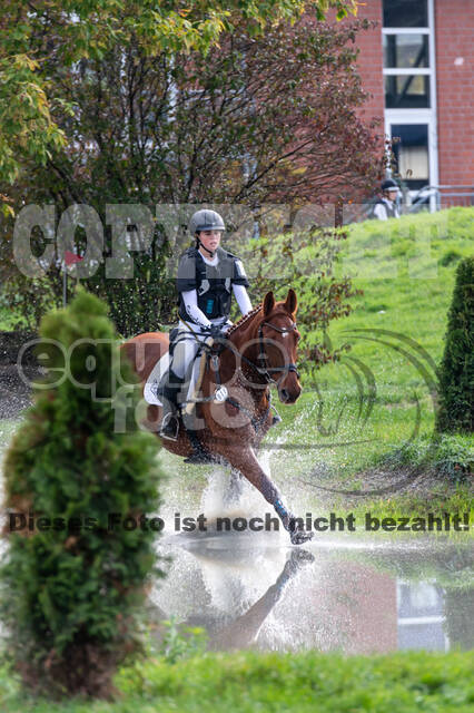 Goldene Schärpe 2020 - Pferde