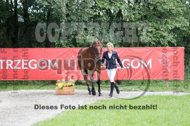 FEI European Championship Eventing 2017