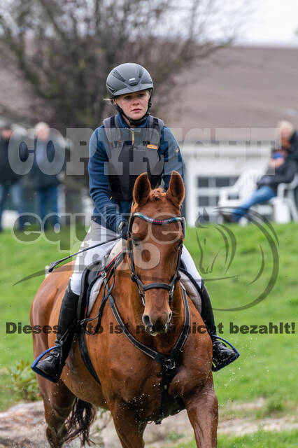 Goldene Schärpe 2020 - Pferde