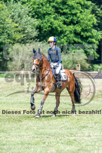 Goldene Schärpe 2021 - Ponys