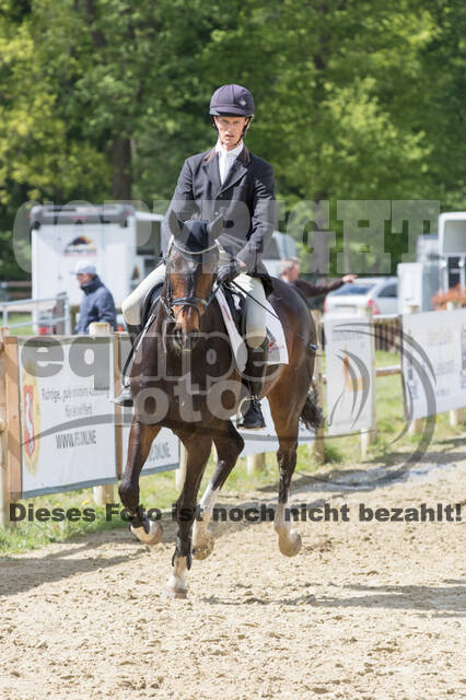 Sterne über Münster 2019 - CCI***S