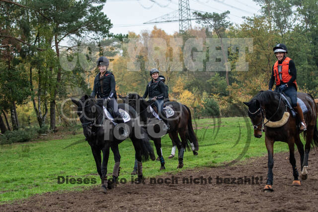Training Bettina Hoy (01.11.2020)