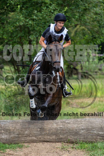 Late-Entry Vielseitigkeit Hamminkeln/Wesel (01.+02.08.2020)