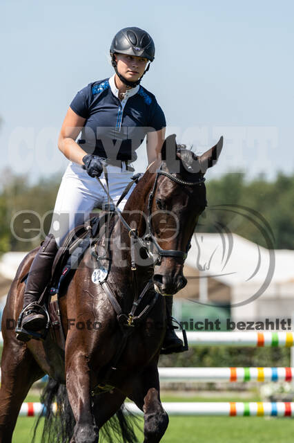 Kronenberg - De Peelbergen (August 2020)