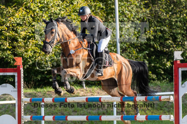 RFV Dinslaken-Hiesfeld (Herbstturnier)