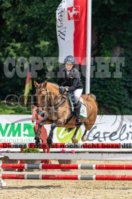 Goldene Schärpe 2021 - Ponys