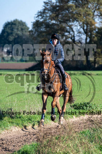 Vielseitigkeitslehrgang mit Jürg Kurbel (9.+10.11.2019)